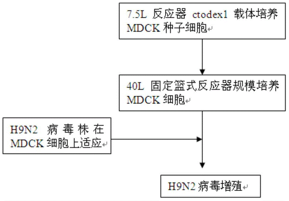 Large-scale culture method of H9N2 subtype avian influenza virus