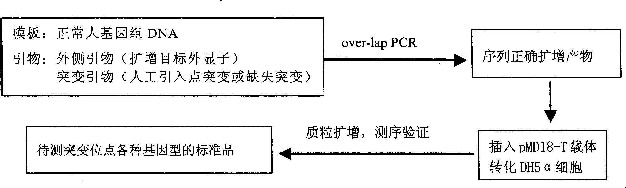 Quick detecting gene mutation correlative to curative effect of non small-cell carcinoma of the lung