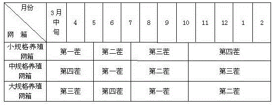 Shallow sea cage apostichopus japonicus recirculating aquacultural facility and aquacultural method