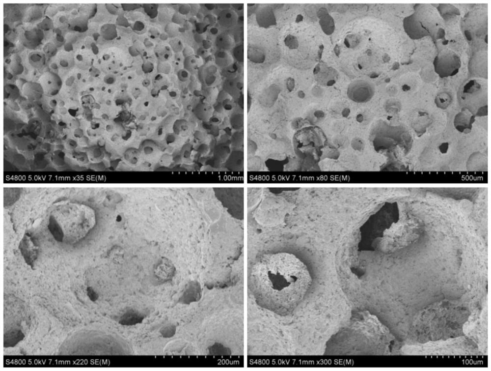 Porous MoS2 hydrogel as well as preparation method and application thereof