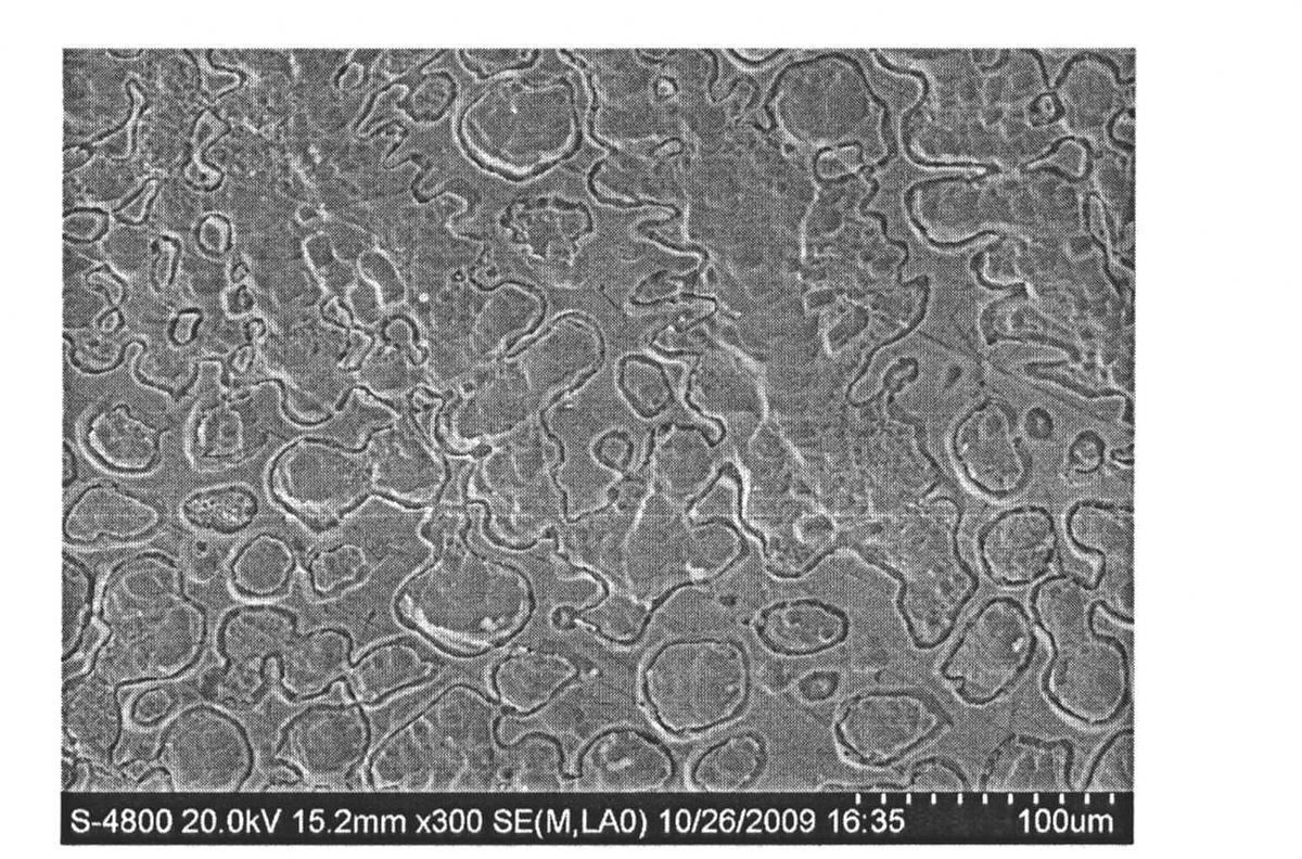 Mn-Al-CNTs type alloy as well as preparation method and application method thereof