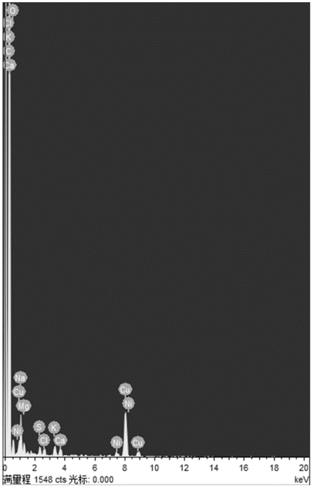 Carbon nano tube enhanced copper-based composite material and preparation method thereof