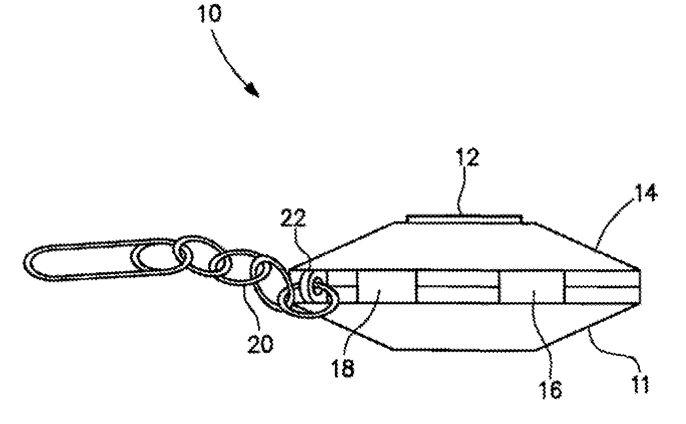 Remote Telemetric Panic and Service Apparatus