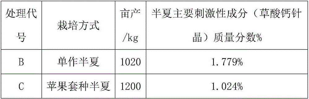 High-yield cultivation method of interplanting of pinellia ternata in apple orchards