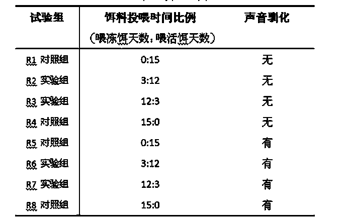 Optimized feeding method for adult stage of sea horses