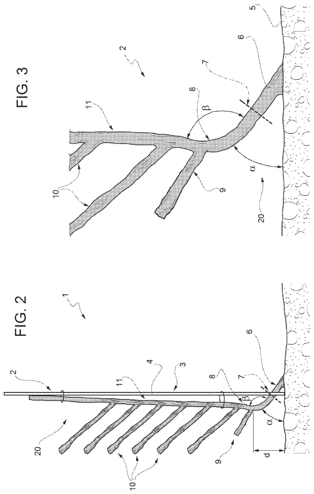 Growing method of fruit trees and associated tree