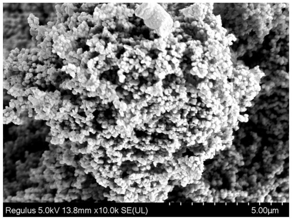 188Re-labeled degradable nano-probe for breast cancer diagnosis and treatment and preparation method thereof