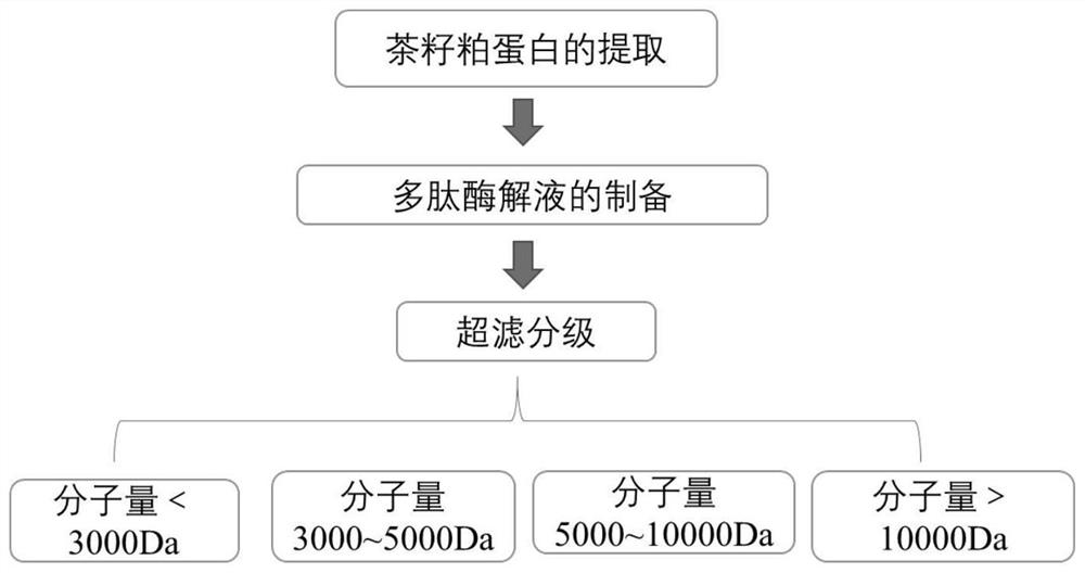 Method for extracting hpyerglycemic peptides from tea seed meal