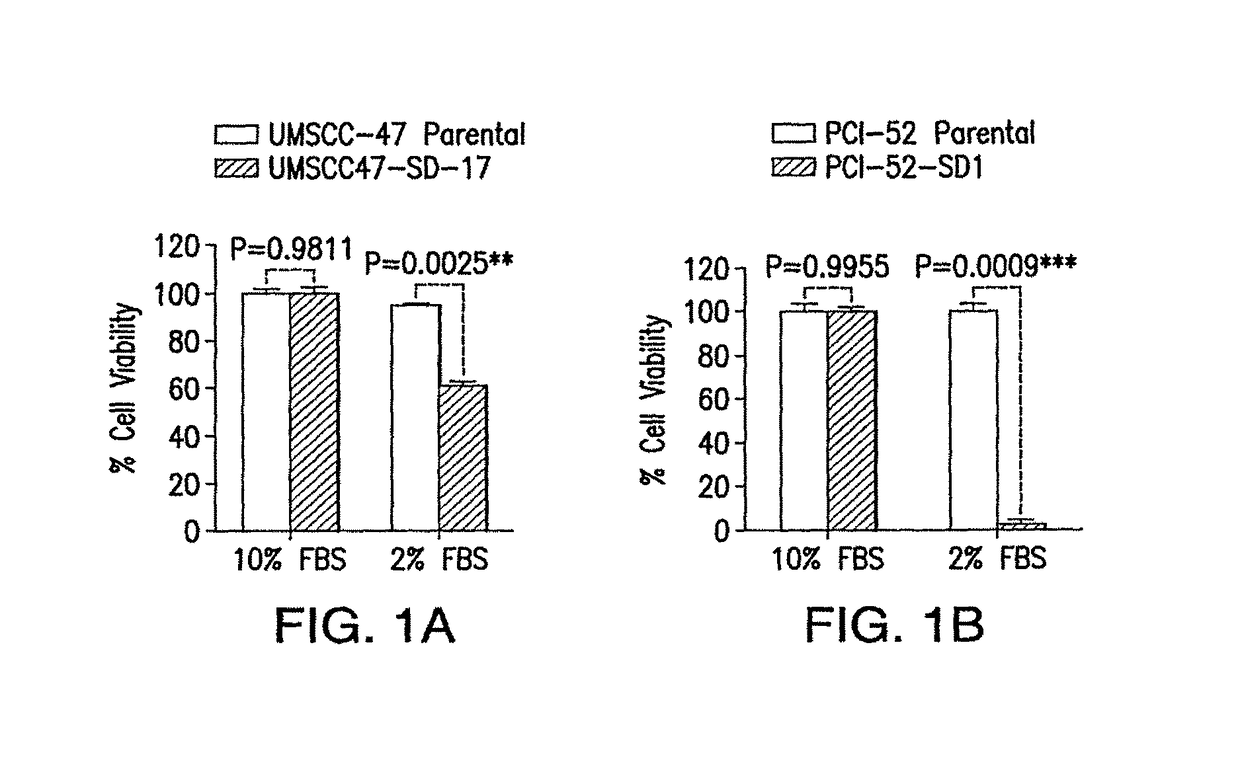 Functional genomics screening platform for head and neck cancer