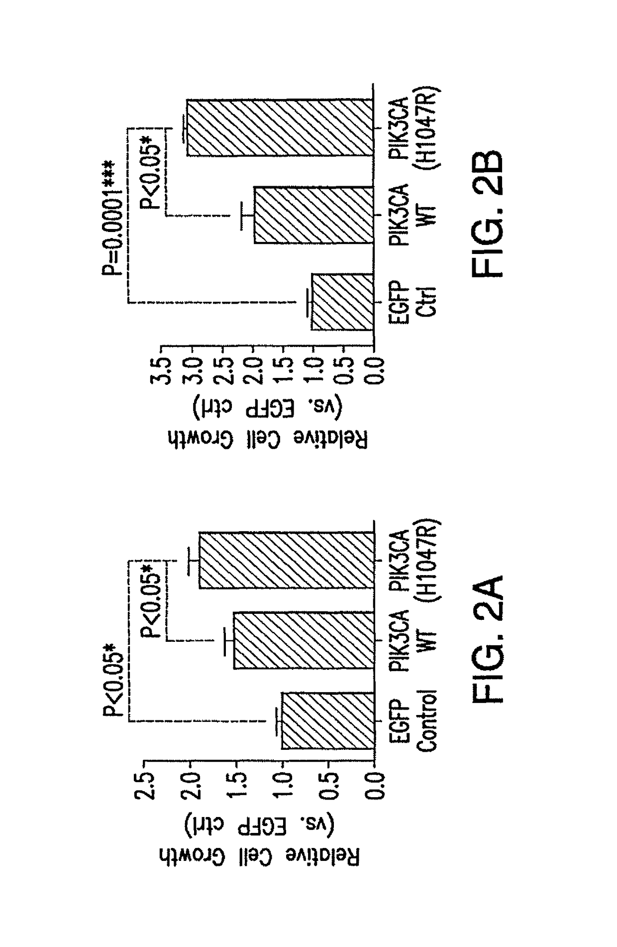 Functional genomics screening platform for head and neck cancer