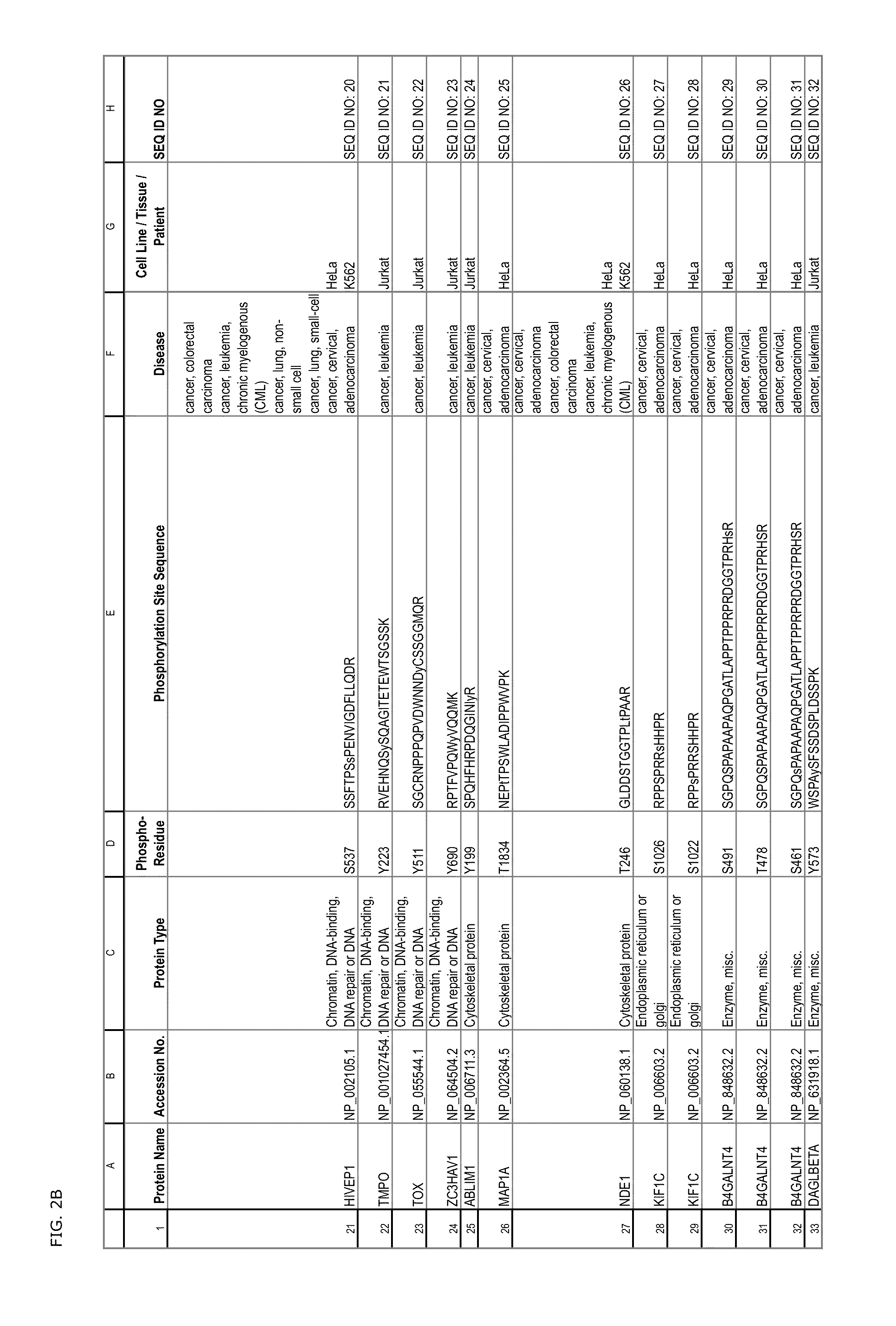 Tyrosine, Serine and Threonine Phosphorylation Sites