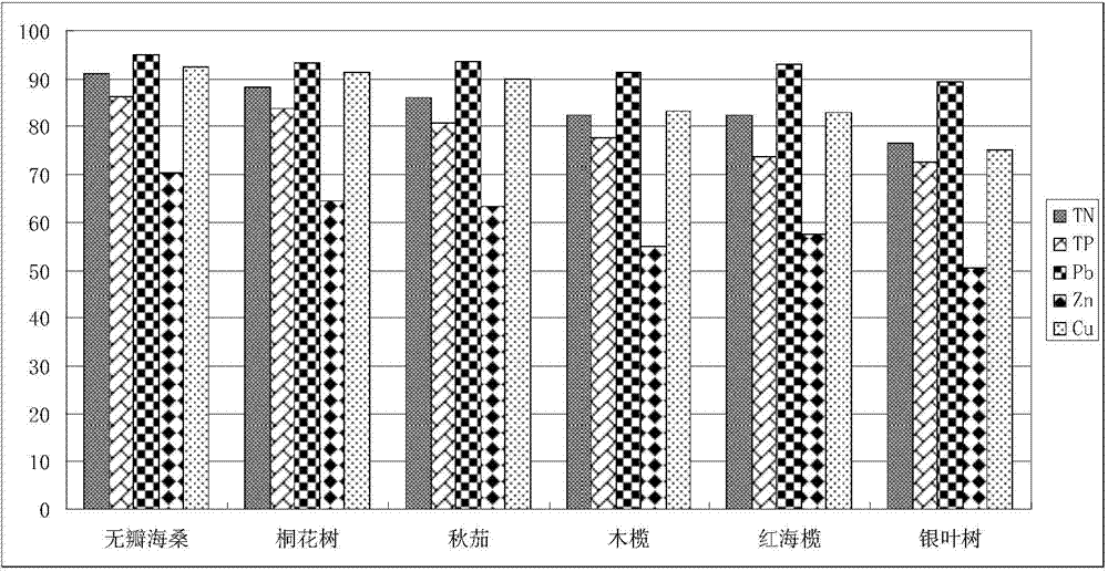 Construction and building method of anti-pollution mangrove forest protection forest