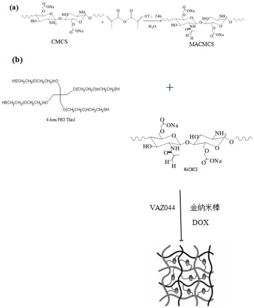 Preparation and application of a near-infrared photopolymerizable injectable hydrogel