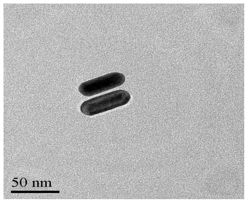 Preparation and application of a near-infrared photopolymerizable injectable hydrogel