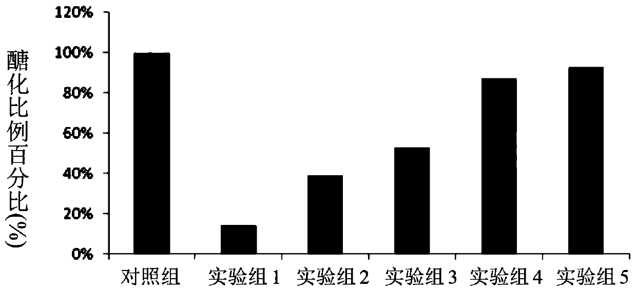 Applications of golden camellia extract for improving anti-glycation activity and inhibiting cell fat accumulation