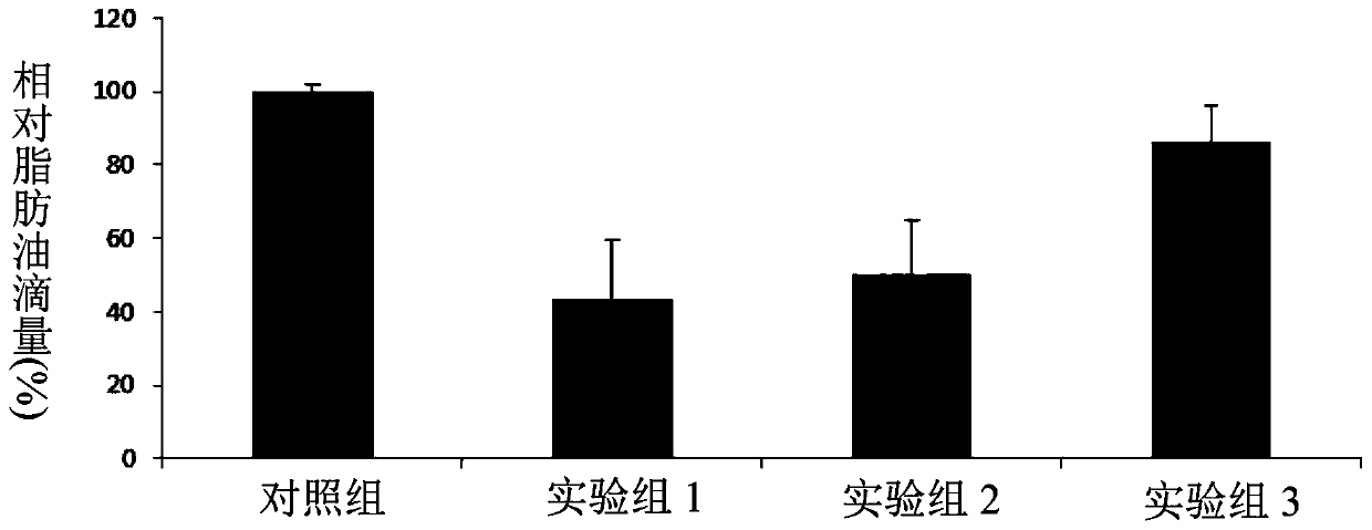 Applications of golden camellia extract for improving anti-glycation activity and inhibiting cell fat accumulation