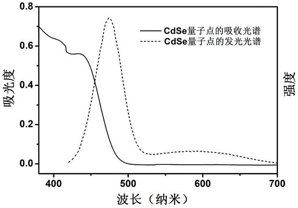 Doped quantum dot catalyst, preparation method thereof, hydrogen production system comprising doped quantum dot catalyst, and hydrogen production method