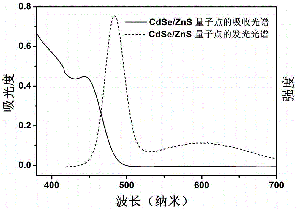 Doped quantum dot catalyst, preparation method thereof, hydrogen production system comprising doped quantum dot catalyst, and hydrogen production method