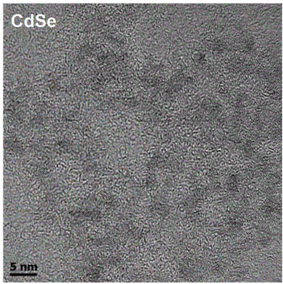 Doped quantum dot catalyst, preparation method thereof, hydrogen production system comprising doped quantum dot catalyst, and hydrogen production method