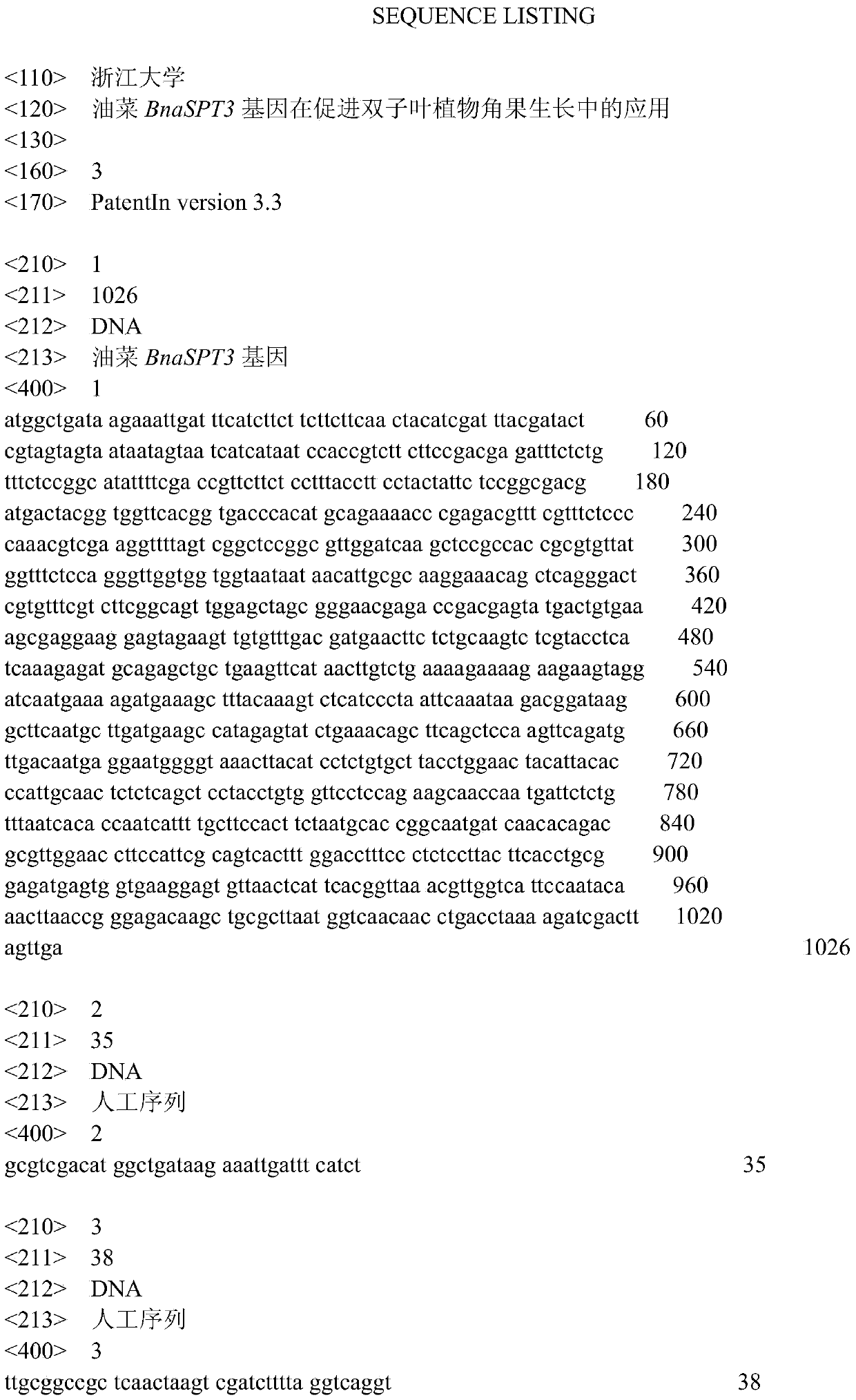 Application of Rapeseed bnaspt3 Gene in Promoting Dicotyledonous Silique Growth