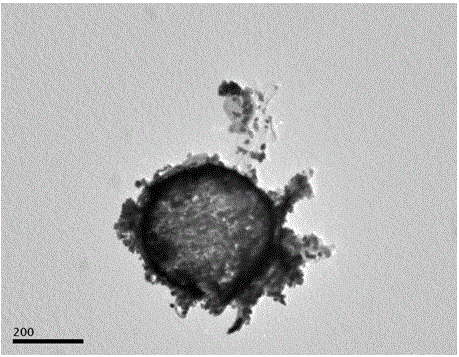 Composite material with hollow graphene spheres loaded with nanometer tin disulfide and method for preparing composite material