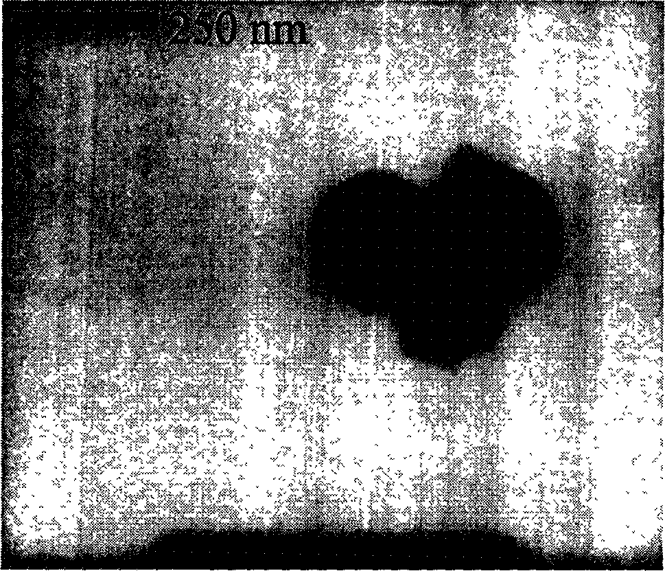 Tungsten trioxide/polymer nano core-shell microsphere and preparing process thereof