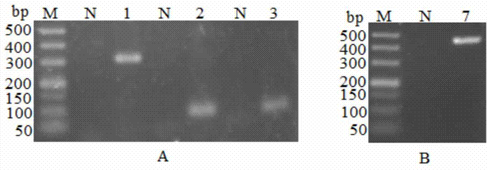 Synthetic root-specific promoter and application thereof