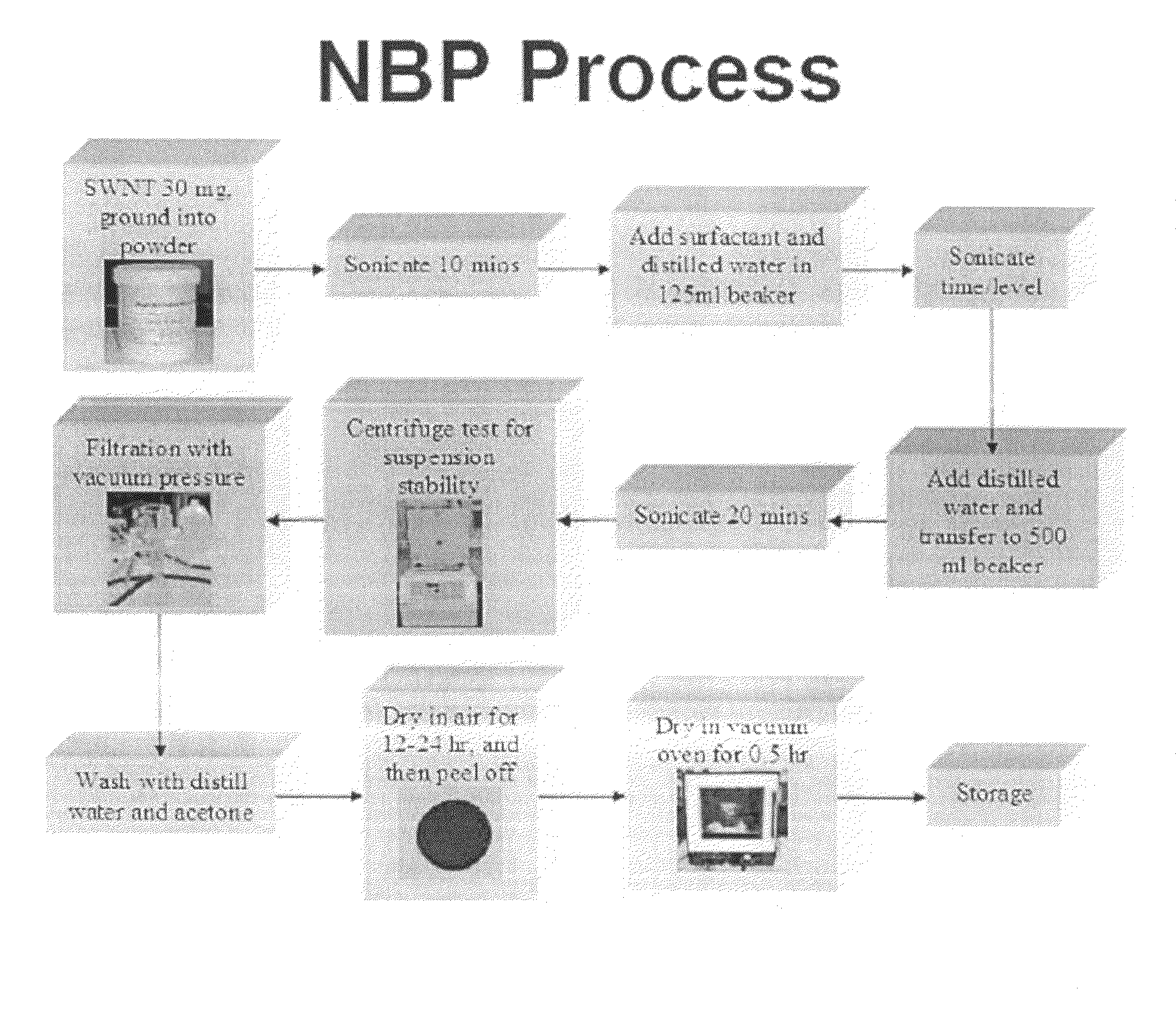 Biologically modified buckypaper and compositions