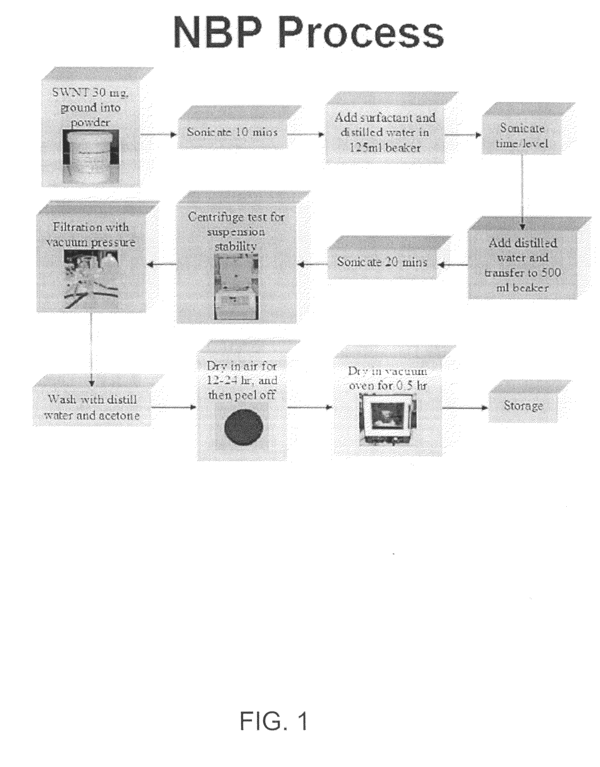 Biologically modified buckypaper and compositions