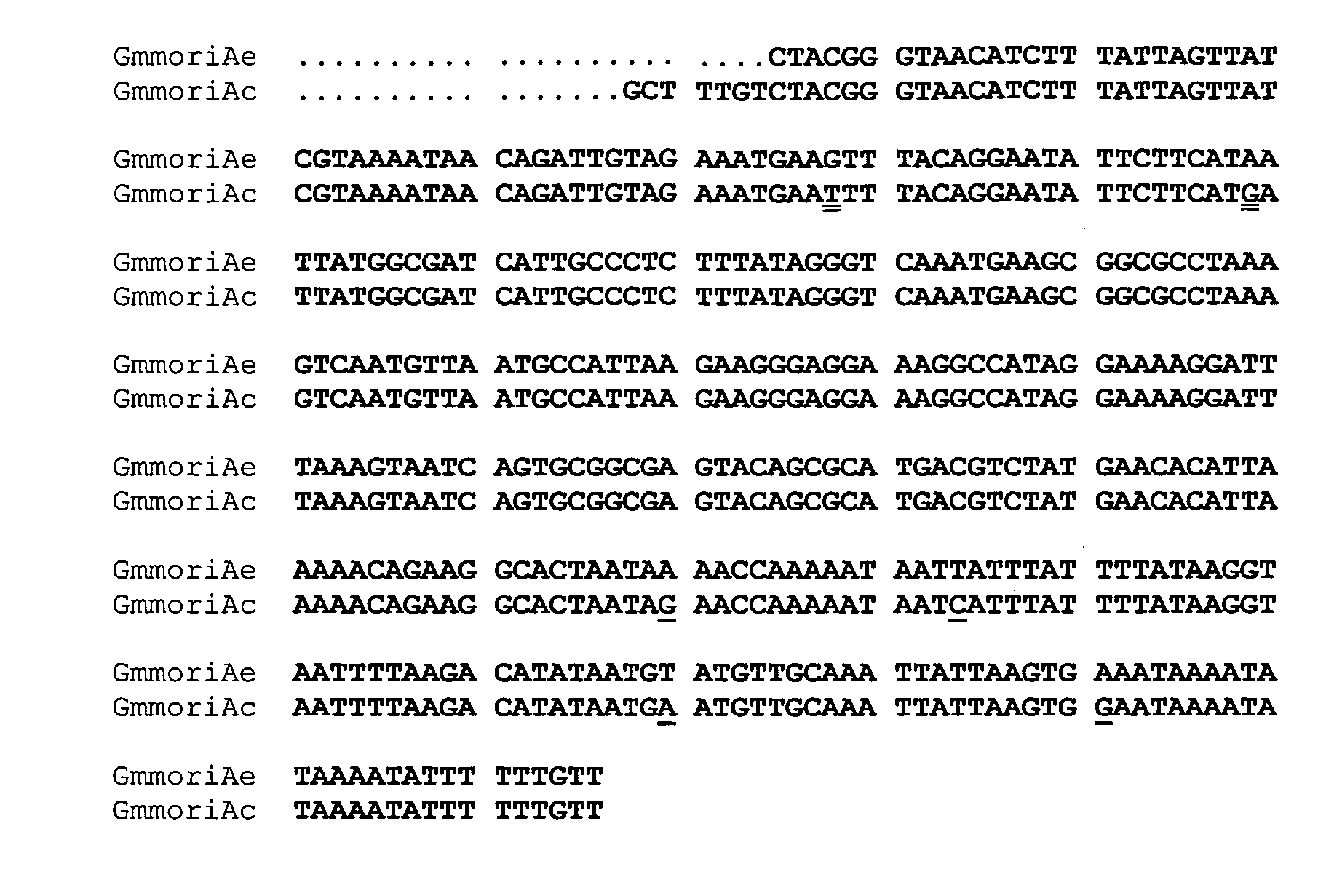 Antifungal Peptides