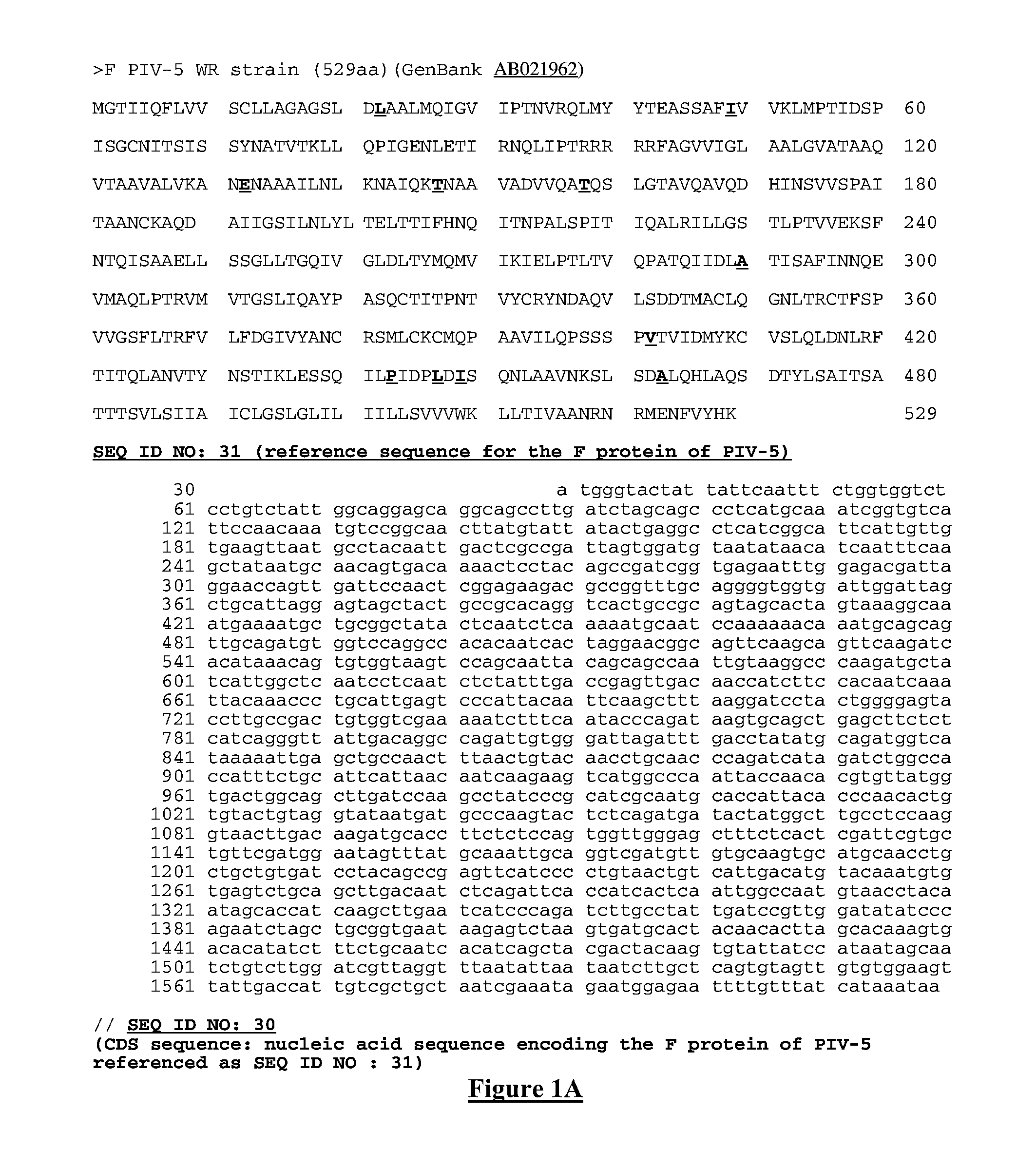 Mutant proteins of the F protein of PIV-5 and PIV-2