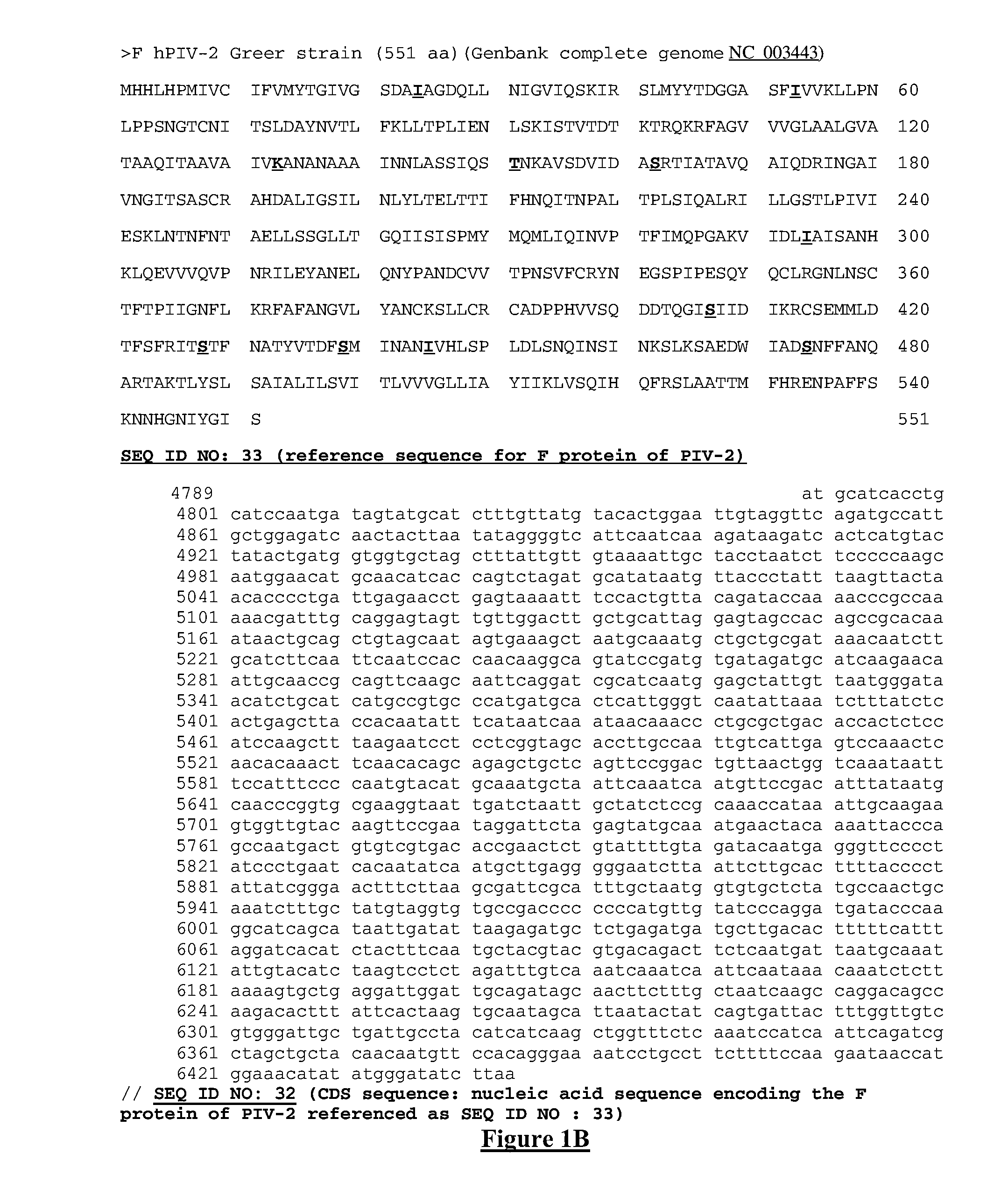 Mutant proteins of the F protein of PIV-5 and PIV-2