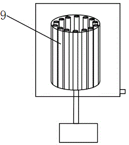 Peeling and cleaning device for acaudina molpadioides semper