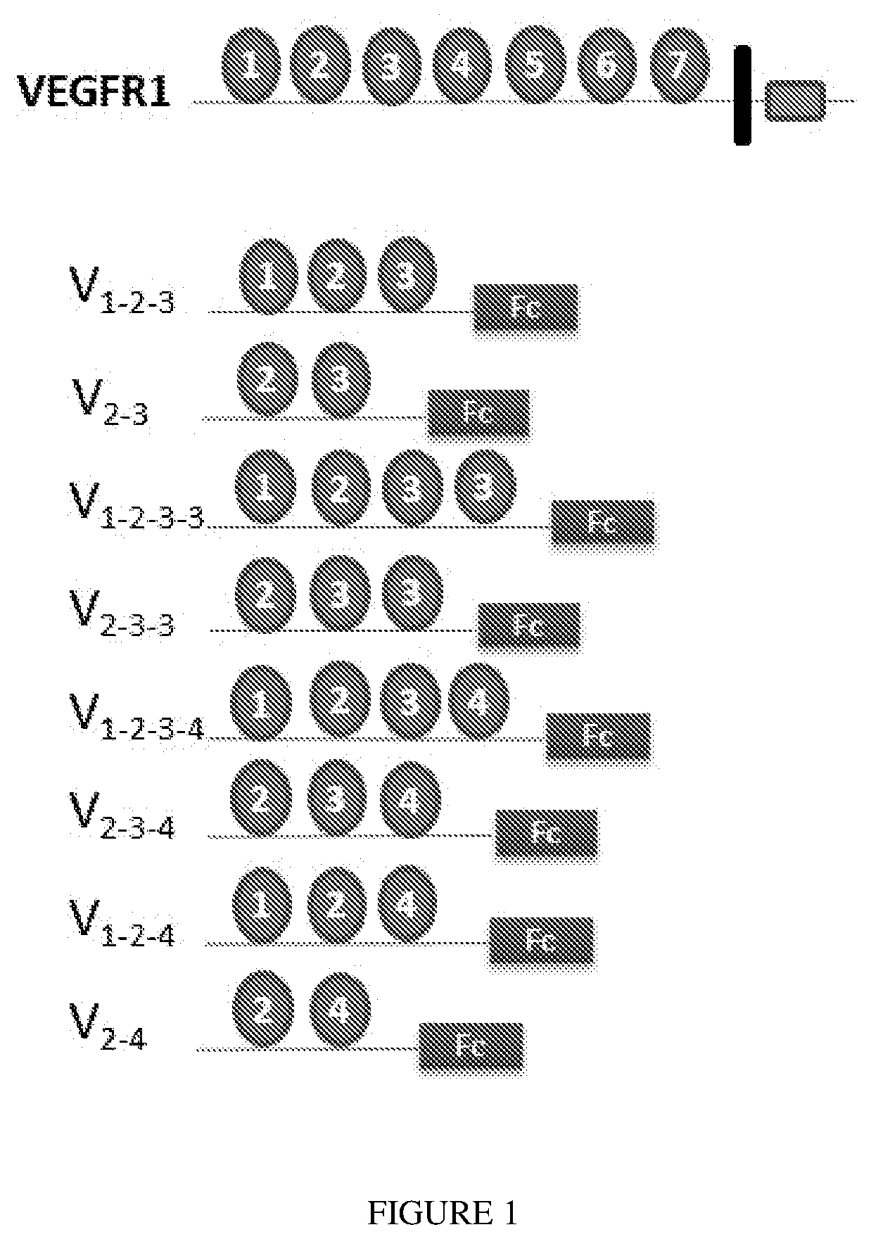 Methods and Compositions for Treatment of Angiogenic Disorders Using Anti-VEGF Agents