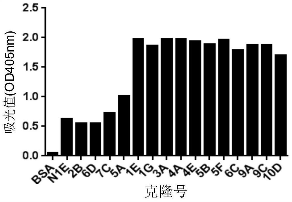 A kind of anti-staphylococcus aureus α-hemolysin monoclonal antibody and its application