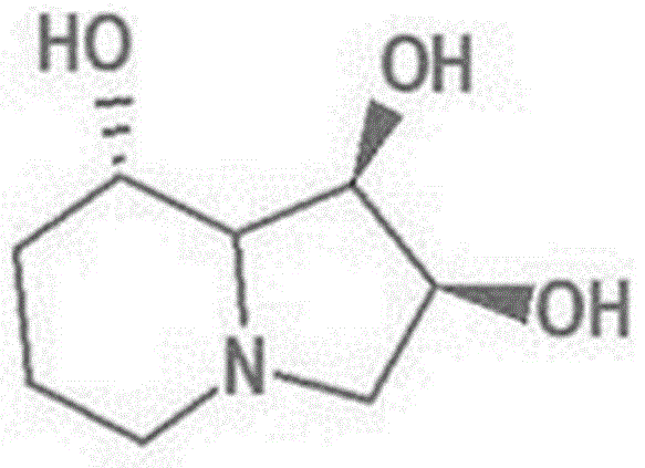 Swainsonine derivative and preparation method of research reagent of swainsonine derivative