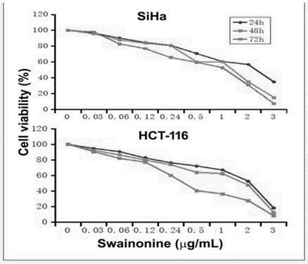 Swainsonine derivative and preparation method of research reagent of swainsonine derivative