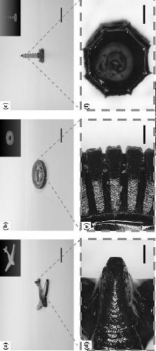 Application and preparation method of photocurable polyimide ink for 3D printing