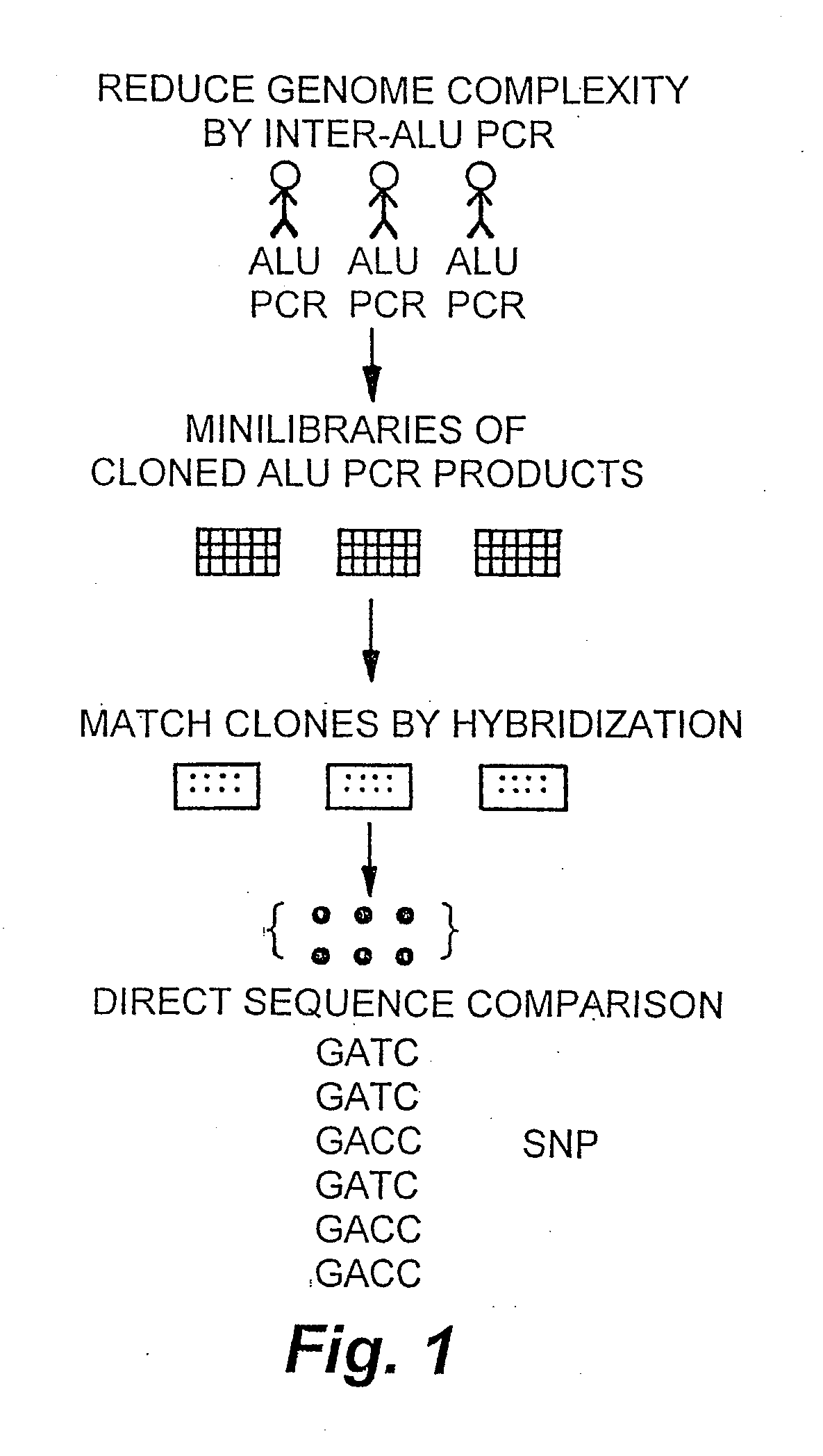 Methods and products related to genotyping and DNA analysis