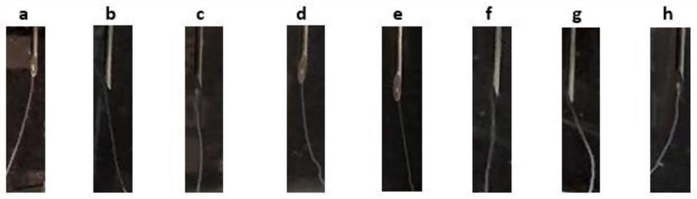 Design and synthesis method of a kind of spidroin protein and spinning