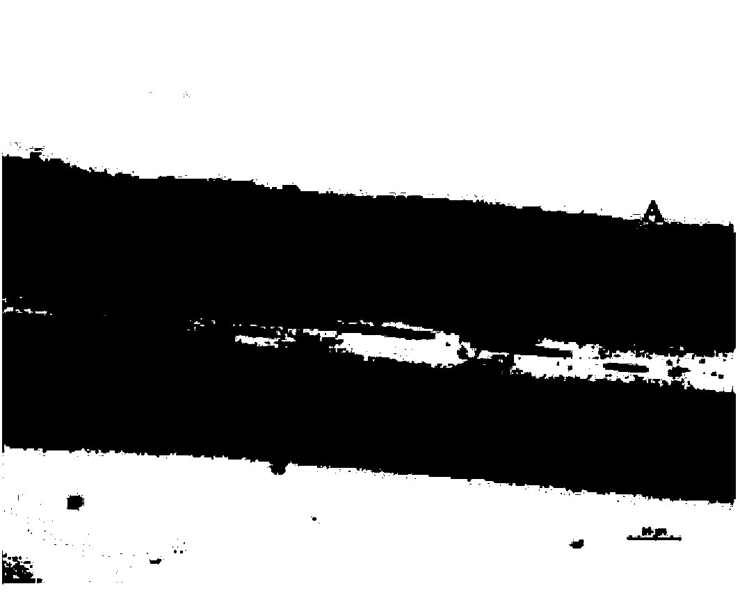 Polymer/metal composite fibers and preparation method thereof