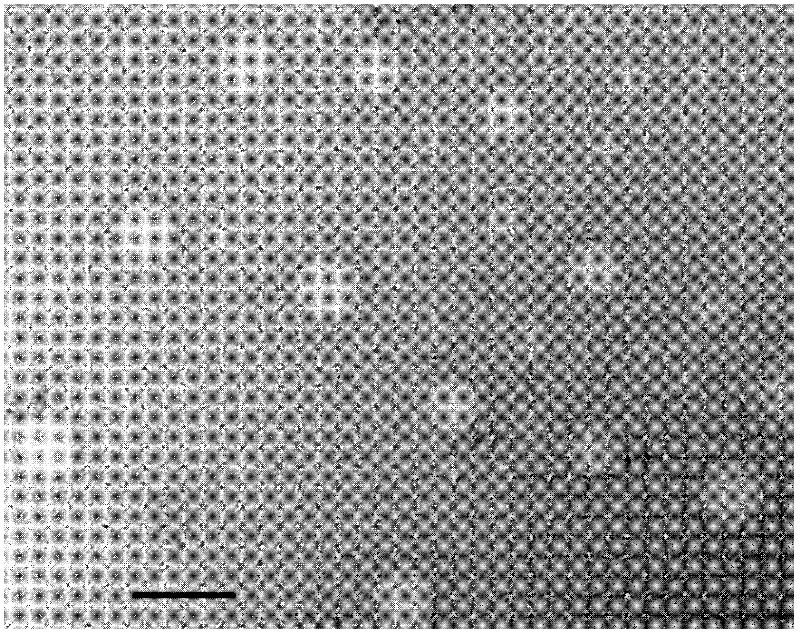 Cascade brain-targeting drug delivery system as well as preparation method and application thereof