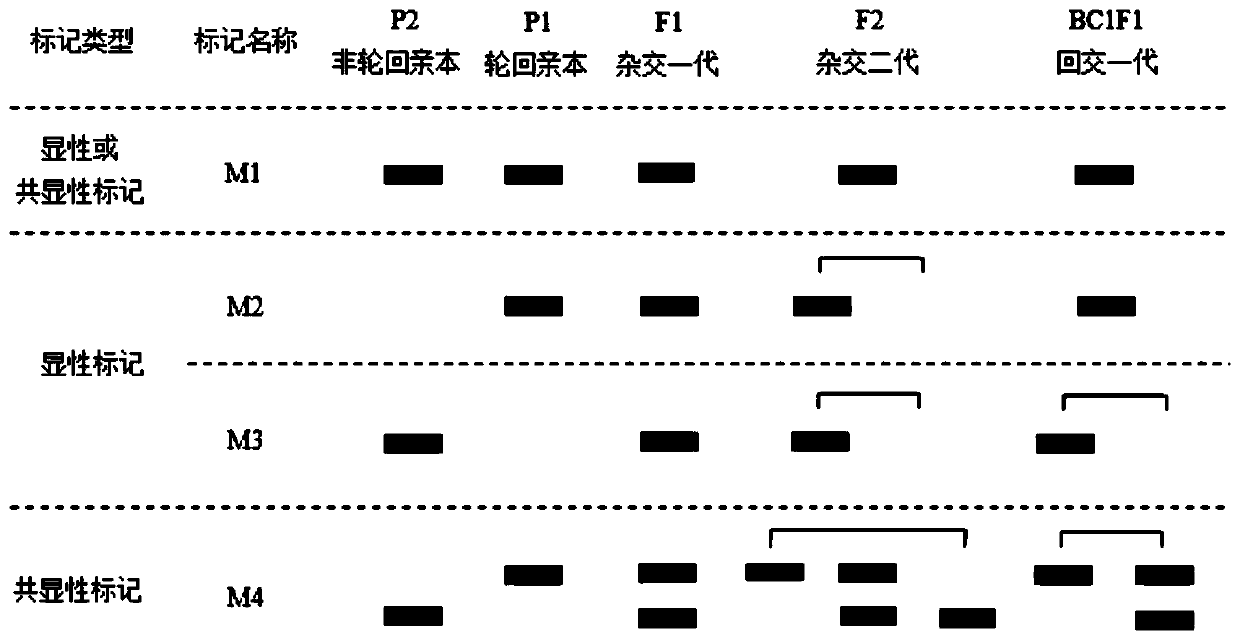 Method for simultaneously positioning multiple genes