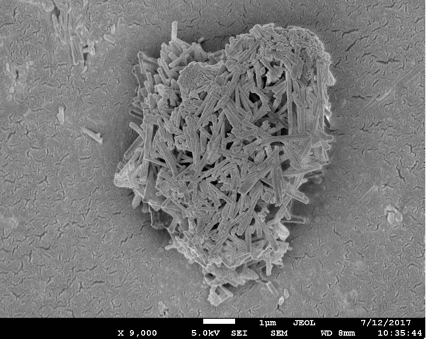 Carrier, catalyst and preparation method for hydrodesulfurization