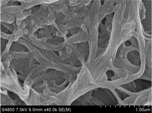 Preparation method of surface-modified ball-milling refined plant fibers