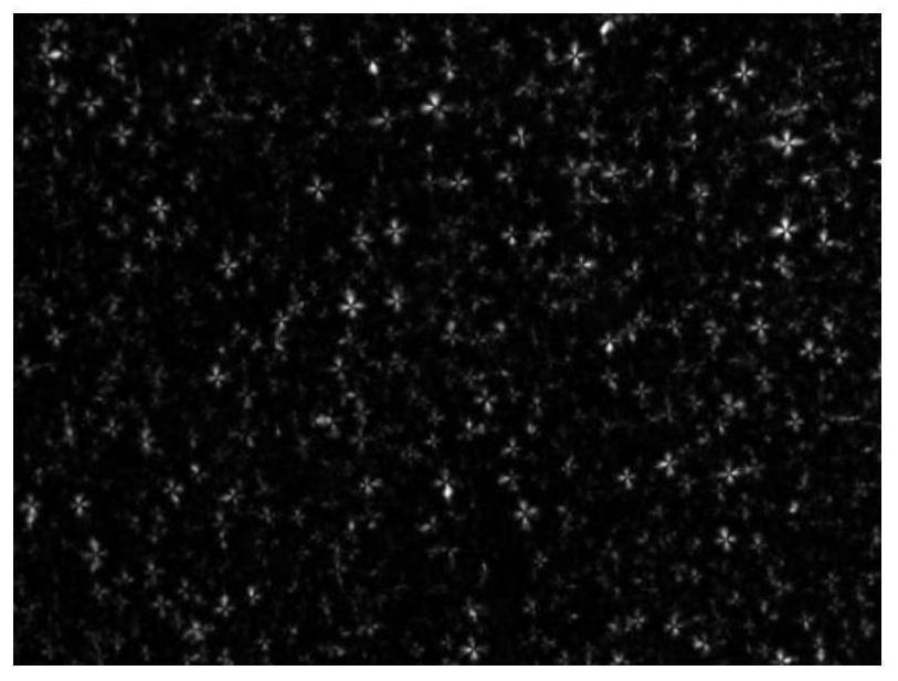 Modified carbon nanotube ionic liquid layered liquid crystal lubricant and preparation method thereof