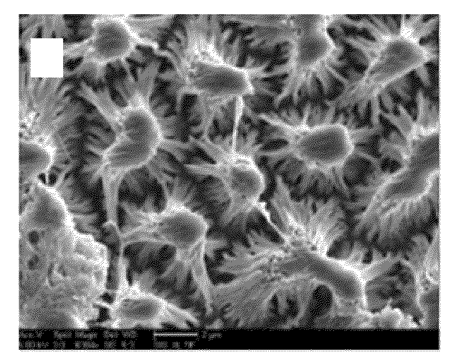 Ocular Scaffolds and Methods for Subretinal Repair of Bruch's Membrane