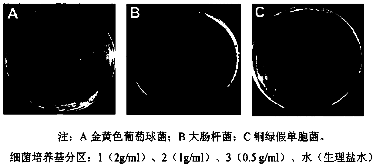 Bacteriostatic traditional Chinese medicine liquid mascara and preparation method thereof