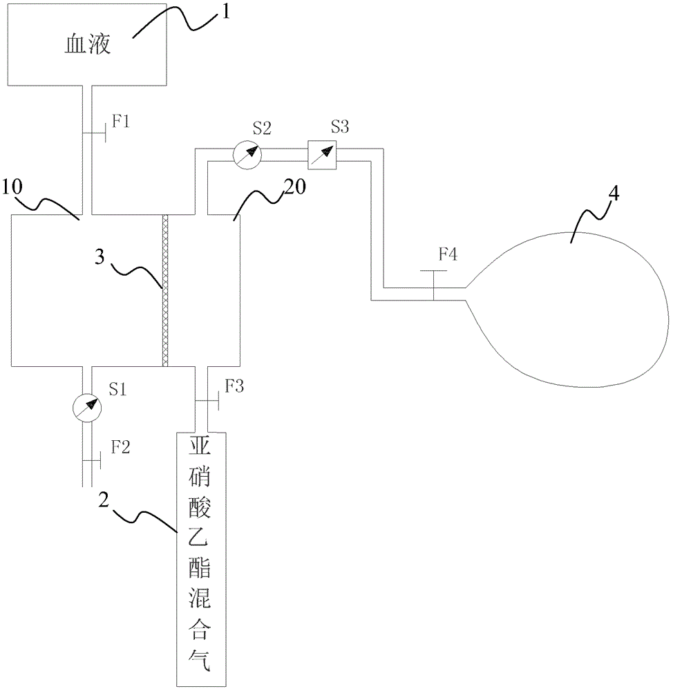 Ethyl nitrite gas-blood exchange rate detection device