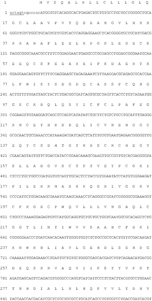 Improved human blood coagulation factor FVII-Fc fusion protein and preparation method and application thereof